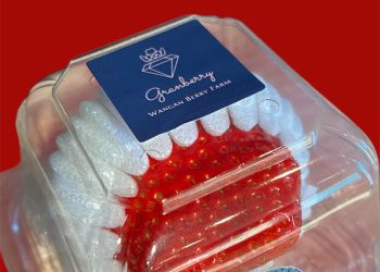 Photoroom_20251222_152738