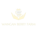 wbf-logo6b_gr_750-removebg-preview.png